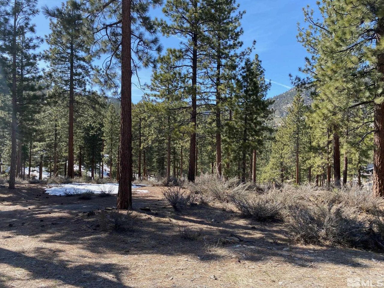 156 Walton Toll Road, Carson City, NV 89705 Photo