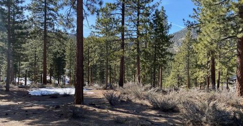 156 Walton Toll Road, Carson City, NV 89705 Photo