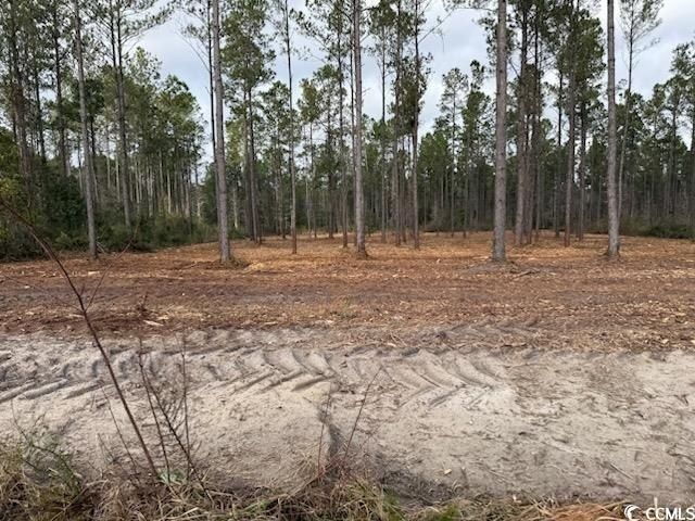 6.97 Acs Kates Bay Hwy. Photo 17