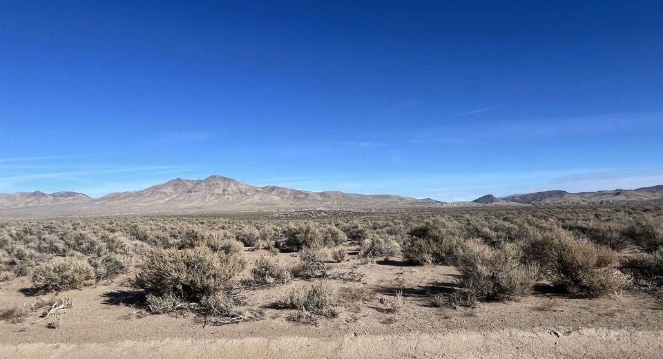 259 Mount Grant, Smith, NV 89430 Photo