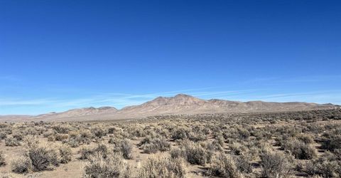 259 Mount Grant, Smith, NV 89430 Photo