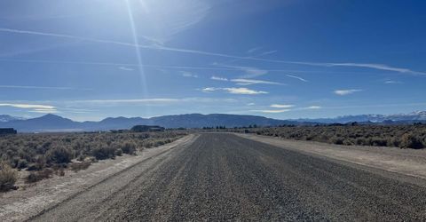 259 Mount Grant, Smith, NV 89430 Photo