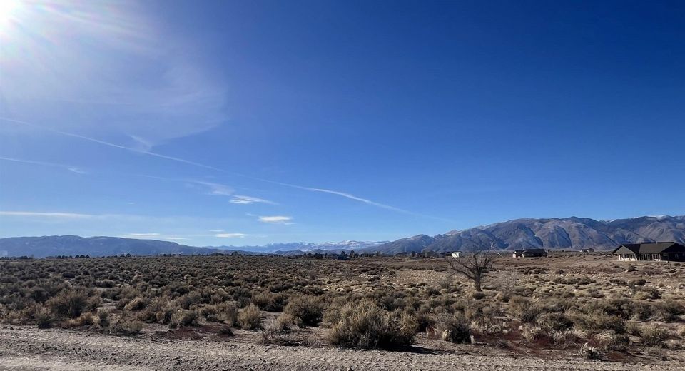 260 Mount Grant, Smith, NV 89430 Photo
