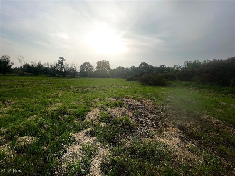 0 Munson Street NW, Canton, OH 44718 Photo 11