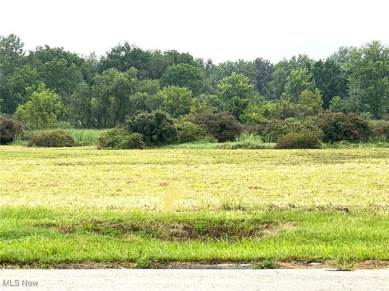 0 Munson Street NW, Canton, OH 44718 Photo 3