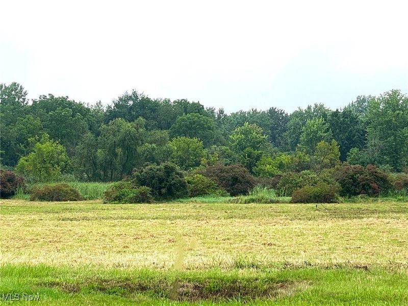 0 Munson Street NW, Canton, OH 44718 Photo 4