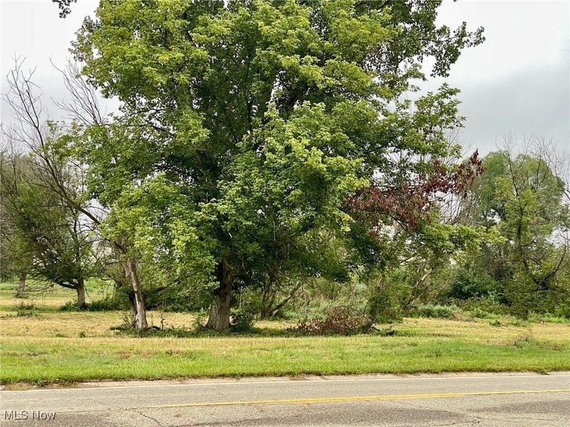 0 Munson Street NW, Canton, OH 44718 Photo 7