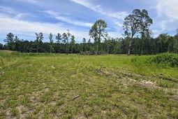 Tbd Mount Olive Church Rd. photo 4