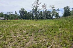 Tbd Mount Olive Church Rd. photo 4