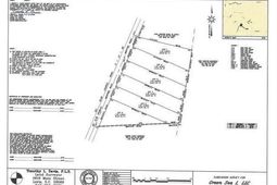 Tbd Mount Olive Church Rd. photo 4