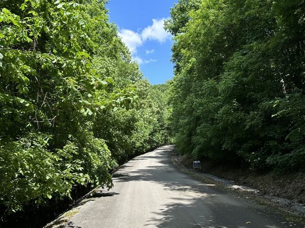 0 Shoreside Dr, Unit 84-85, Smithville, TN 37166