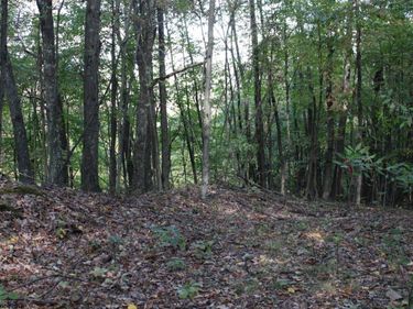 1430 Sand Bank Road, Masontown, WV 26542