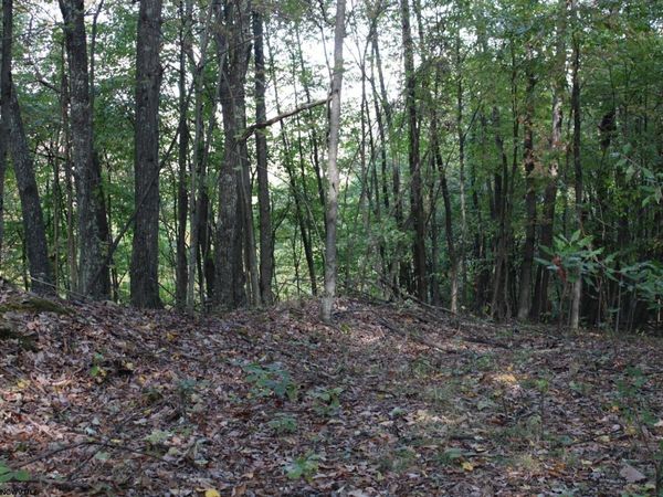 1430 Sand Bank Road, Masontown, WV 26542