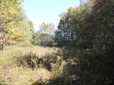 1429 Sand Bank Road, Masontown, WV 26542