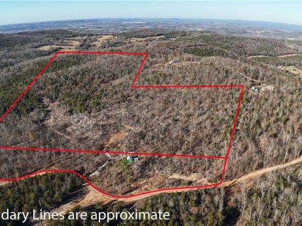 267 Mayfield Lane, Flippin, AR 72634