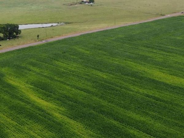 TBD FM 667, Italy, TX 76651