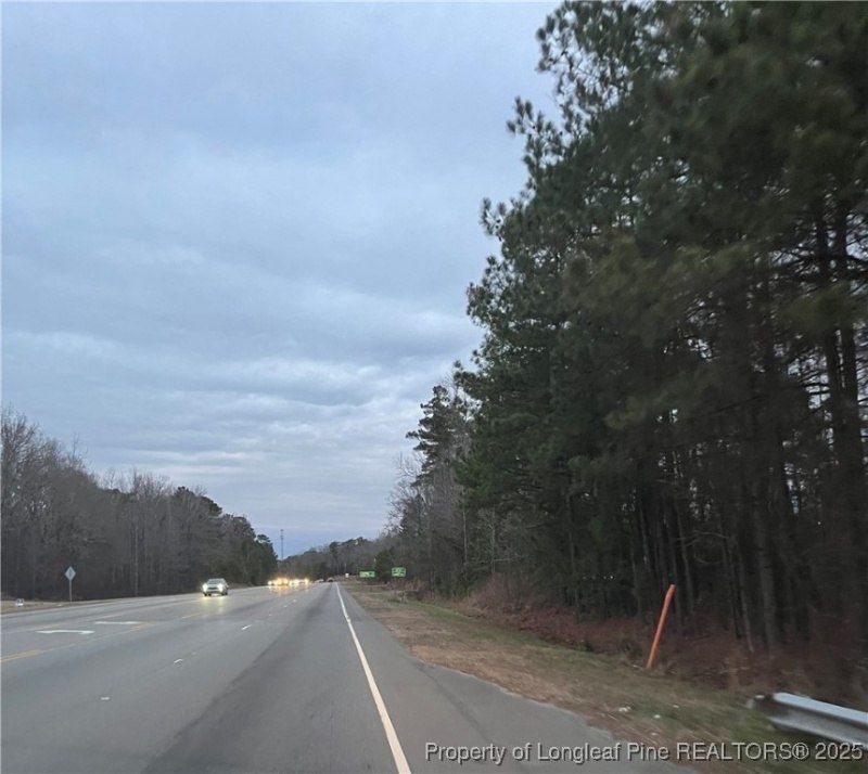 Tbd Hwy 87/ Broadway Rd. Road, Sanford, NC 27330 Main Photo