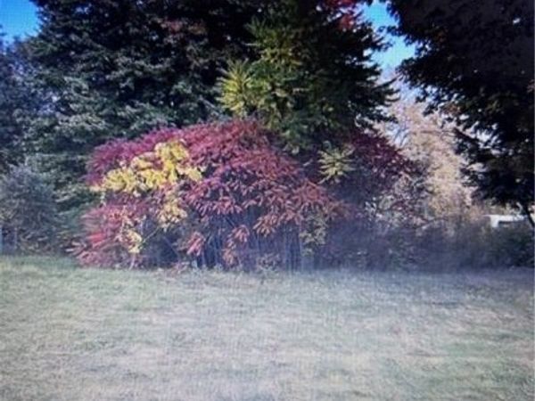 8129 South Avenue, Boardman, OH 44512