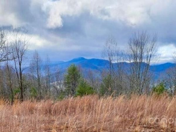 255 Clearview Lane, Marshall, NC 28753