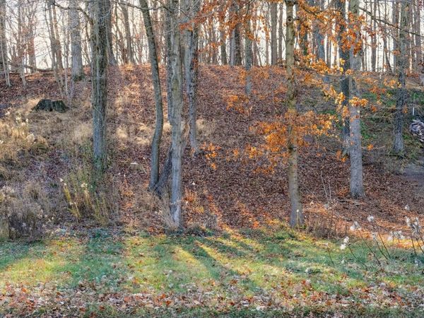 454 Roxbury Road, Valparaiso, IN 46385