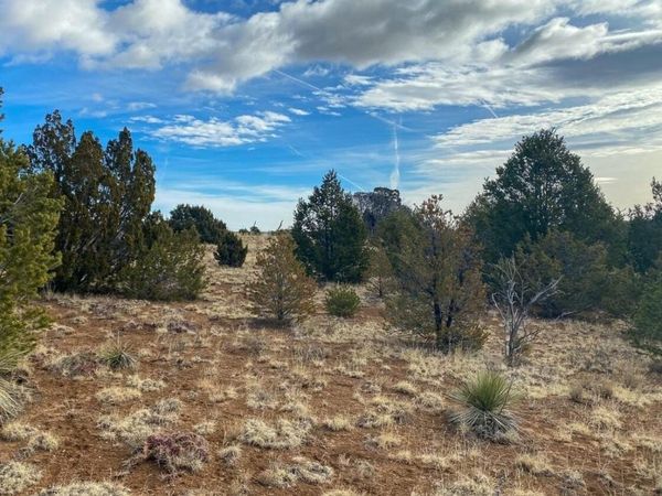 230 MORA Road, Tijeras, NM 87059