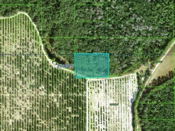 DEEN STILL ROAD, POLK CITY, FL 33868