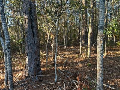 5860 Martin Street, Ravenel, SC 29470