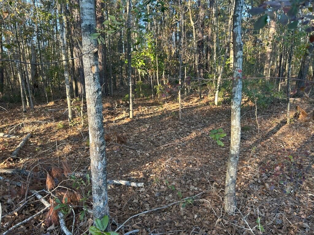 5860 Martin Street Photo 2