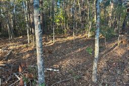 5860 Martin Street photo 4