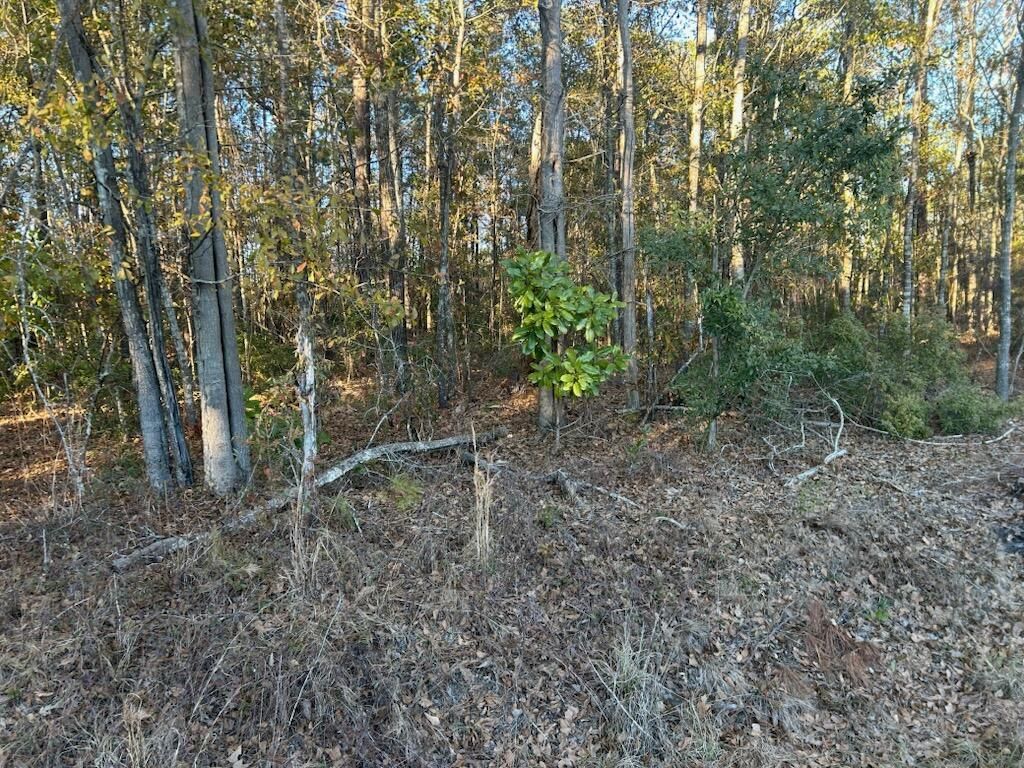 5860 Martin Street Photo 4