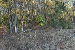 5860 Martin Street photo 4