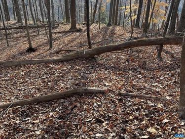 MONACAN TRAIL RD, COVESVILLE, VA 22931
