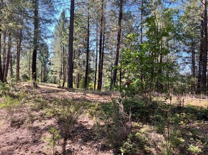 43 Bottle Hill Road, Georgetown, CA 95634 Photo