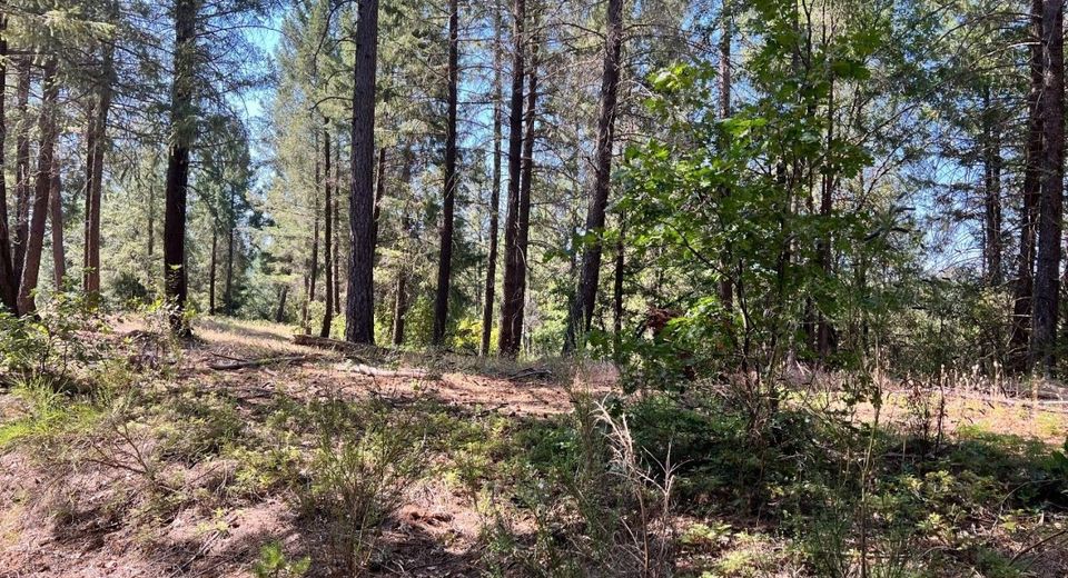 43 Bottle Hill Road, Georgetown, CA 95634 Photo