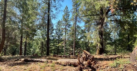 43 Bottle Hill Road, Georgetown, CA 95634 Photo