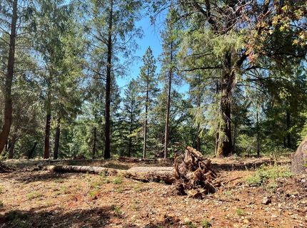 43 Bottle Hill Road, Georgetown, CA 95634 Photo