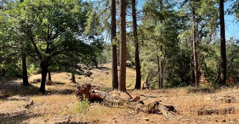 43 Bottle Hill Road, Georgetown, CA 95634 Photo