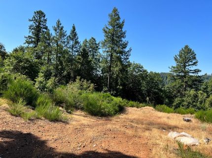 75 Bottle Hill Road, Georgetown, CA 95634 Photo