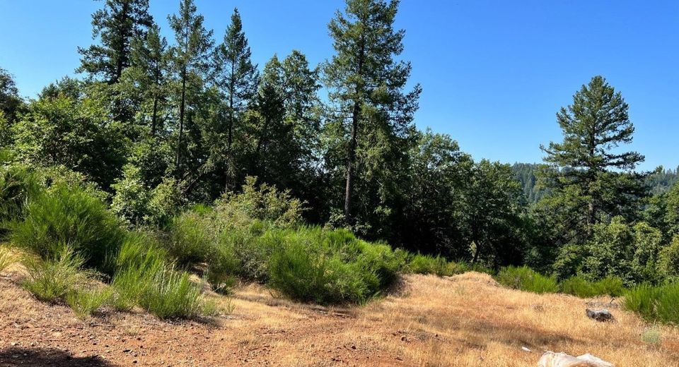 75 Bottle Hill Road, Georgetown, CA 95634 Photo