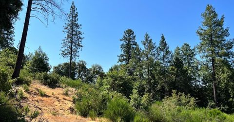 75 Bottle Hill Road, Georgetown, CA 95634 Photo