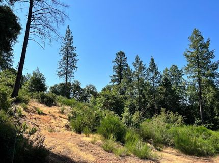 75 Bottle Hill Road, Georgetown, CA 95634 Photo