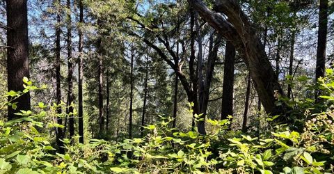 75 Bottle Hill Road, Georgetown, CA 95634 Photo