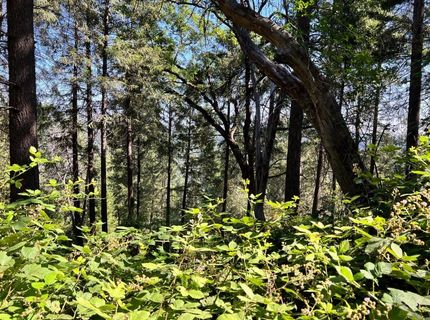 75 Bottle Hill Road, Georgetown, CA 95634 Photo