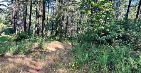 75 Bottle Hill Road, Georgetown, CA 95634 Photo