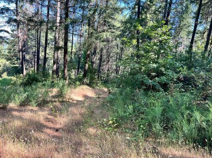 75 Bottle Hill Road, Georgetown, CA 95634 Photo