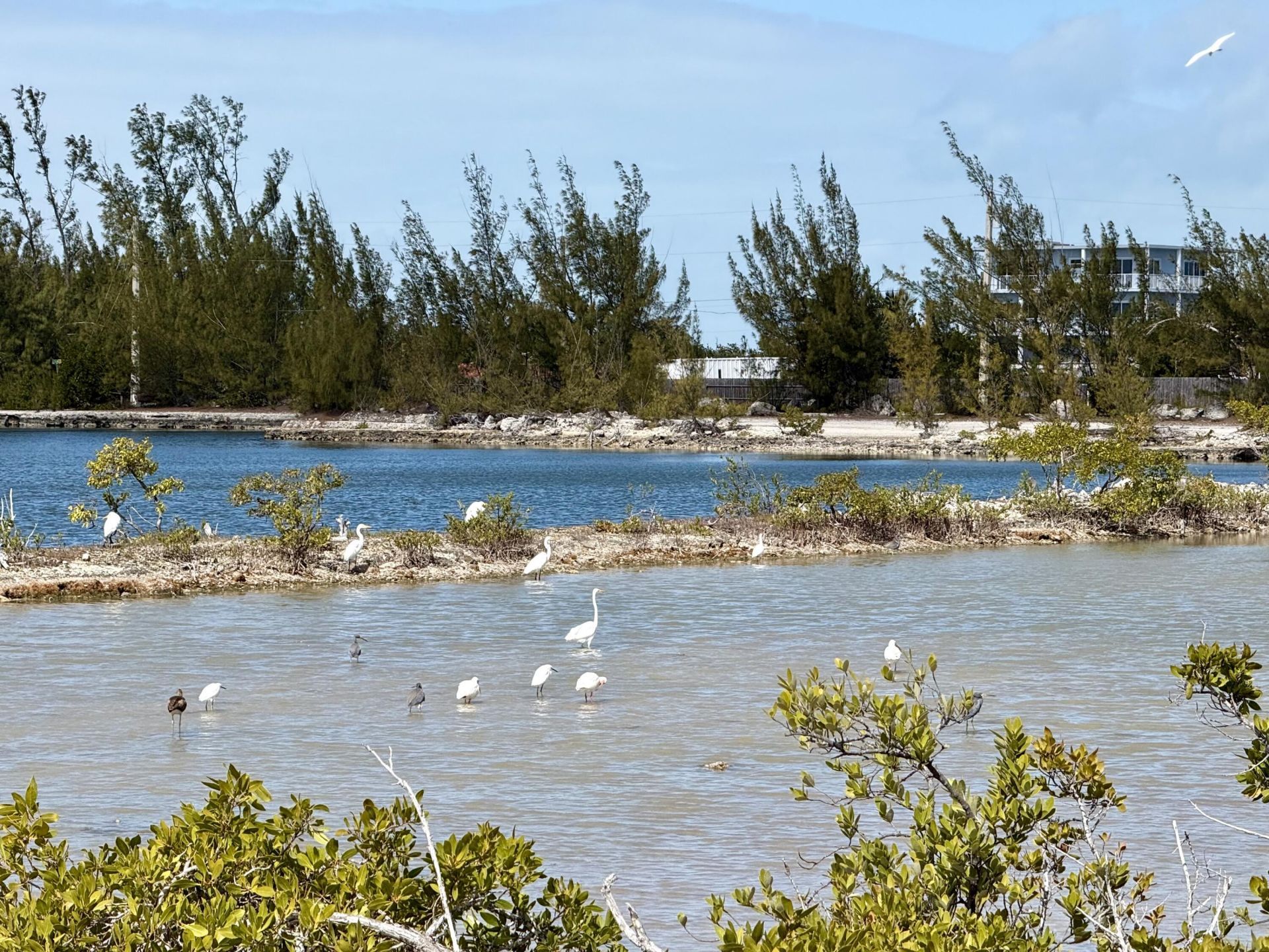 32029 Marginella Drive, Big Pine Key, FL 33043 Photo
