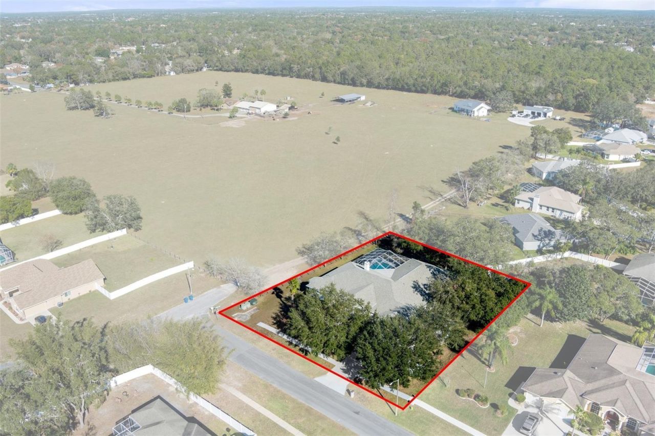 456 Diamond Drive, Spring Hill, FL 34609 Photo