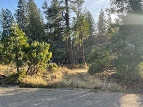 6172 Shad Way, Pollock Pines, CA 95726