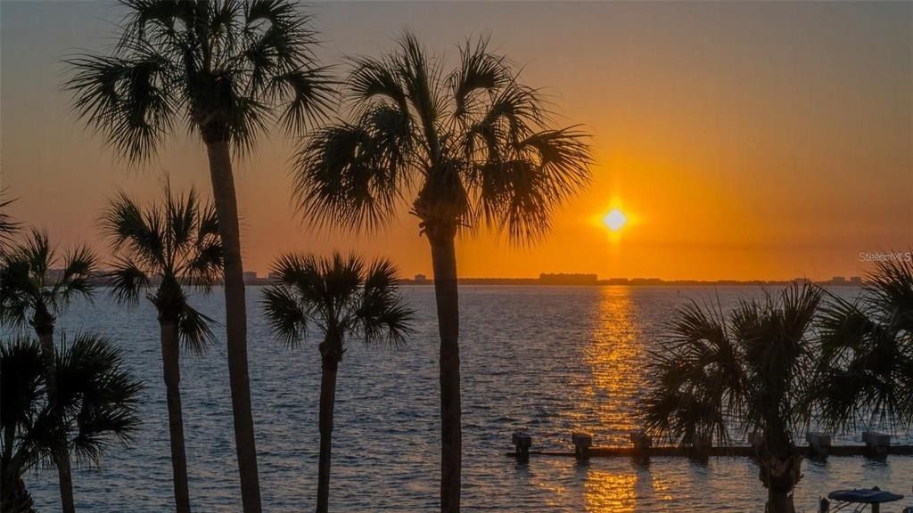 988 Blvd Of The Arts, Unit 311, Sarasota, FL 34236 Photo