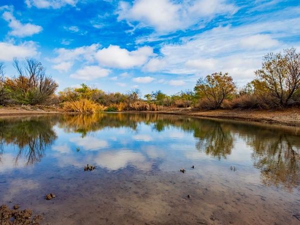 3108 County Road 125, Colorado City, TX 79512